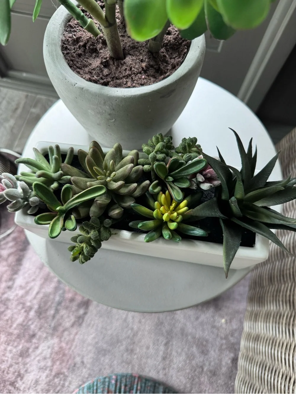 Faux Succulent Arrangement in White Rectangular Planter